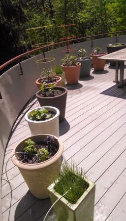 Potted plants with drip line installation in Wautaga, TX