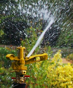 a rotary sprinkler installed by our Grand Prairie sprinkler repair service